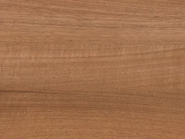 Winchester - renolit