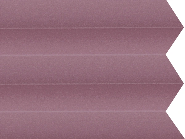 BO 11243 - Fuchsia