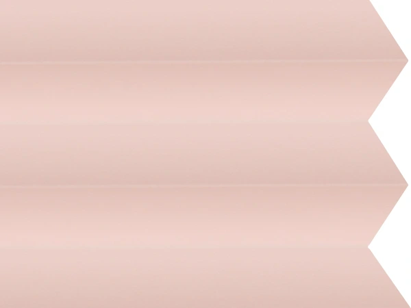 BO 11241 - Lovely rose