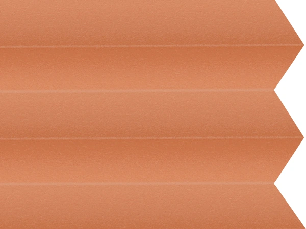 BO 11242 - Coral