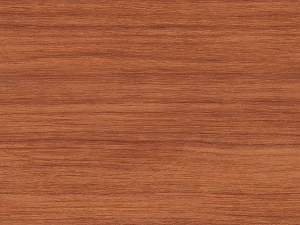 Sieťky na OKNO - pevné - DOUGLAS renolit