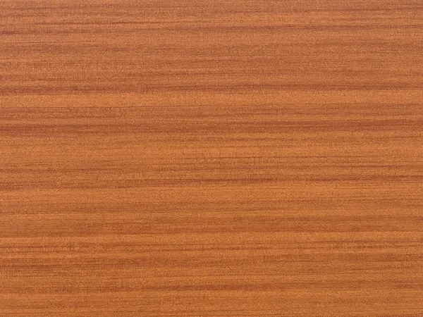 Sieťky na OKNO - pevné - SHOGUN AF renolit